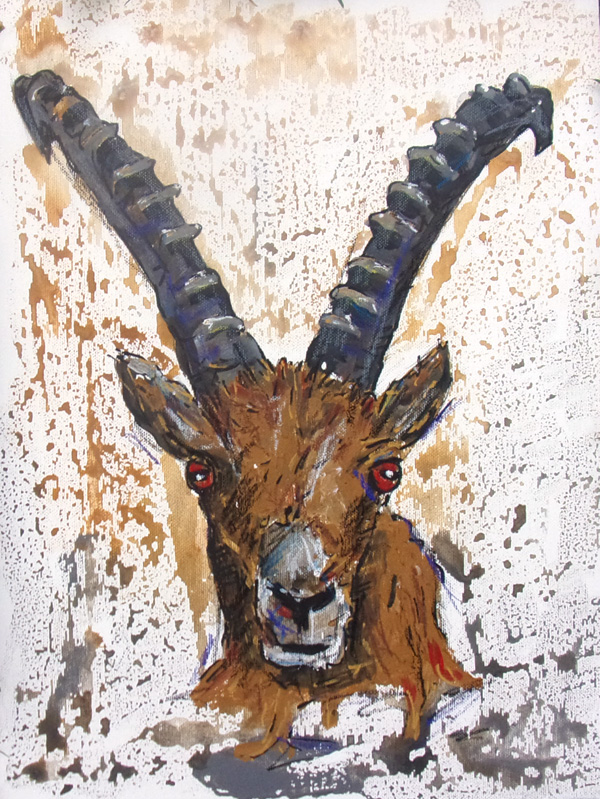 42_Steinbock