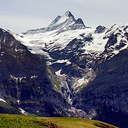 48a_Schreckhorn