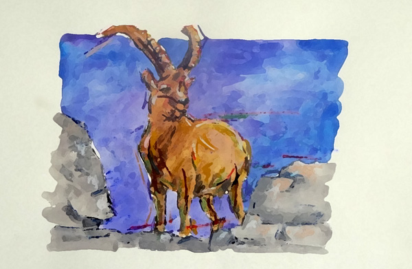 Steinbock