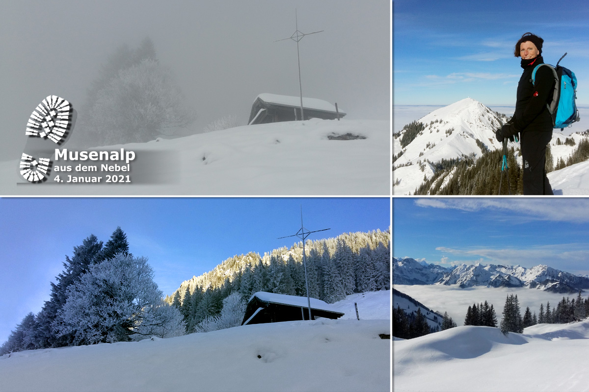 2021_01_04_Musenalp