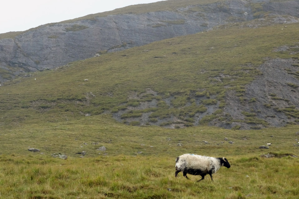 Connemara