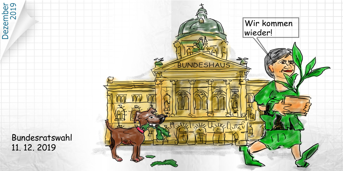 Bundesratswahl