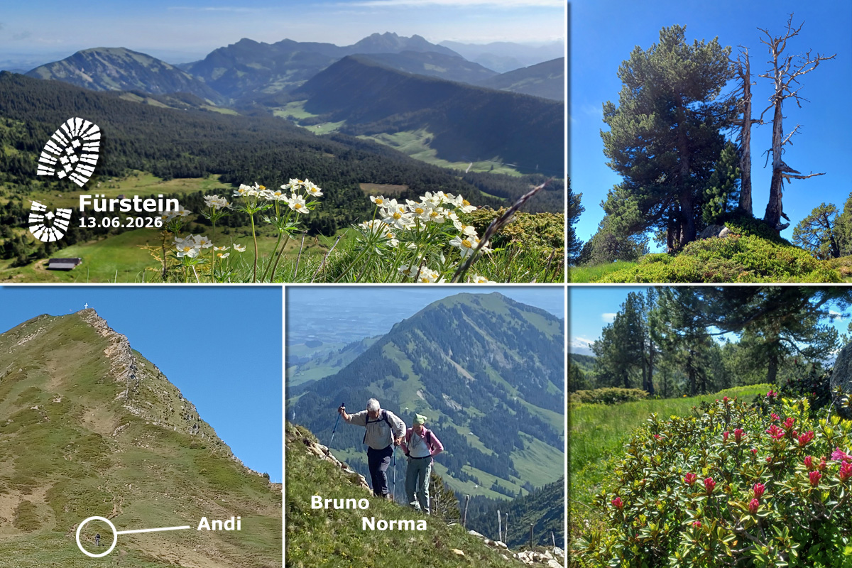 260613_Fürstein